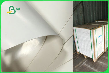 Customized Single Side PE Coated Paper For Disposable Plates  FDA Approved
