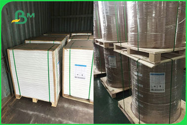 Customized Single Side PE Coated Paper For Disposable Plates  FDA Approved