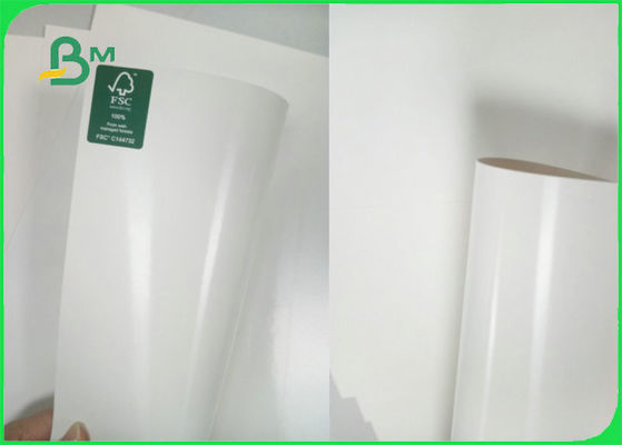 C1S Ivory Board Poly Coated Paper 300gsm + 15g PE 70 X 100cm For Cup Making