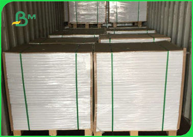 Waterproof 60gsm 80gsm Food Grade PE Coated Paper For Wrapping Fish