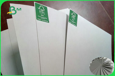 300g 350g 400g C1S Grey Back Cardboard 1160mm 1300mm In Jumbo Roll FSC Approved