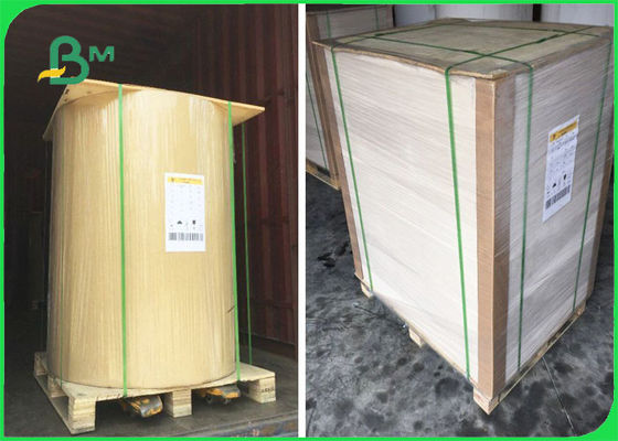 ISO Certified Flip Side Kraft Paper In Sheets One Side White 32 × 40''