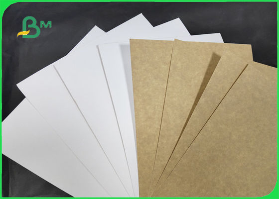 ISO Certified Flip Side Kraft Paper In Sheets One Side White 32 × 40''