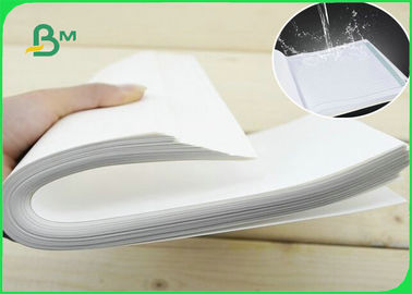 80um Polypropylene Synthetic Paper For Outdoor Advertisement ECO Waterproof