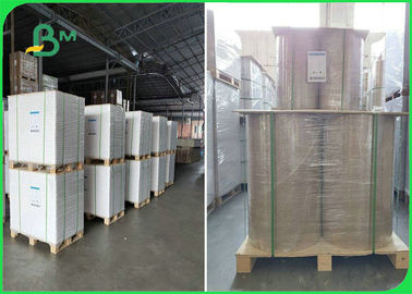 Waterproof 80gsm + 10g PE Coated Offset Printing Paper For Packaging