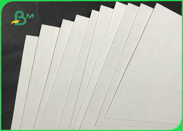 Rapid Bibulous 0.4mm - 1.6mm Absorbent Paper In Sheet For Hotel Coaster