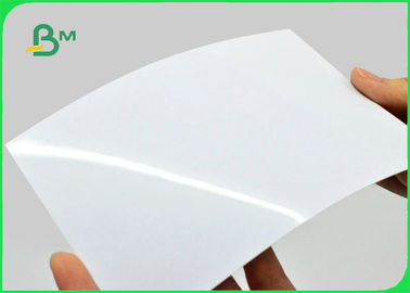 240gsm 260gsm RC Waterproof  Inkjet Photo Paper Double Side High Glossy