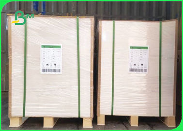 Virgin Wood Pulp 250gsm 300gsm White Top Kraft Liner For Packages Box