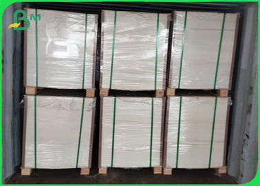 350gsm Take Out Food Container Paper Board FDA 15gr PE Sheet / Roll