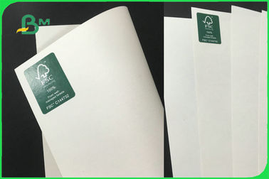 100% Virgin Biodegradable Uncoated Paper Cup Base Paper 170 - 300gsm FDA FSC