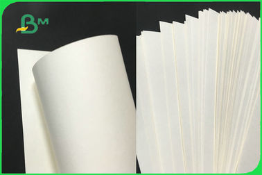 100% Virgin Biodegradable Uncoated Paper Cup Base Paper 170 - 300gsm FDA