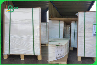 100% Virgin Biodegradable Uncoated Paper Cup Base Paper 170 - 300gsm FDA