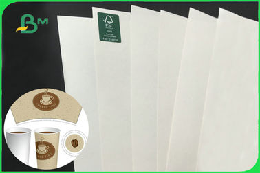 100% Virgin Biodegradable Uncoated Paper Cup Base Paper 170 - 300gsm FDA FSC