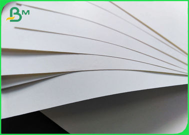 PE Coated White Carton Base Paper For Coffee Cups 170 - 300gsm