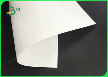 Waterproof Tear Resistance 200um 250um Synthetic Paper For Hang Tag