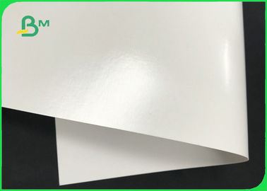 Double Sides White 300GSM 350GSM PE Coated Paper Board For Fast Food Boxes