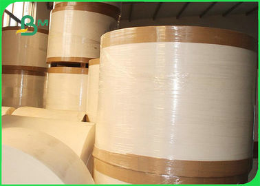 190g 210g PLA Coated Cupstock Paper For Coffee 100% Biodegradable Disposable