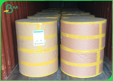 Straw Surface & Middle Layer Biodegradable Waterproof Food Grade Paper Roll  60 GSM / 120 GSM