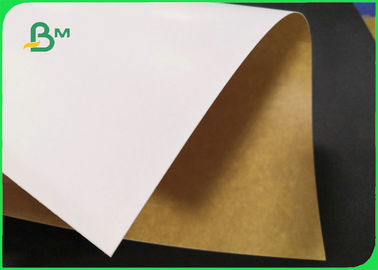 250gsm White Clay Coated Kraft Back Paper For Food Wrapping 790 * 1090mm