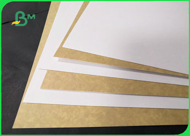 250gsm White Clay Coated Kraft Back Paper For Food Wrapping 790 * 1090mm