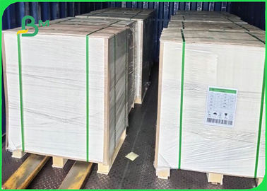 250GSM - 360GSM Food Grade White Top Kraft Liner Paper For Food Packing