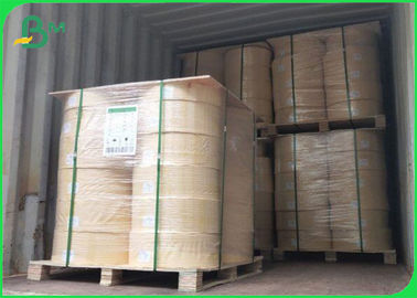 60GSM / 120GSM Straw Paper Roll Biodegradable EU / FDA Certificated