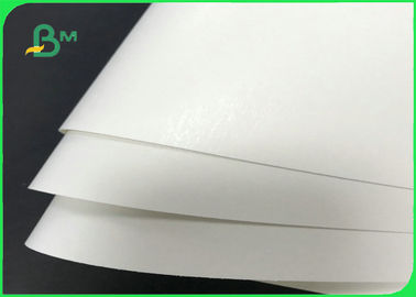 FDA Food Grade Paper Roll 160gsm - 350gsm 70 * 100cm White PLA Paper Sheet For Coffee Cup