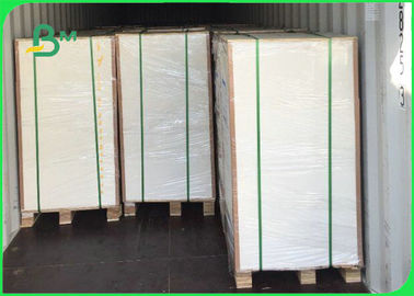 FDA Food Grade Paper Roll 160gsm - 350gsm 70 * 100cm White PLA Paper Sheet For Coffee Cup