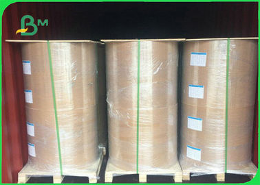 FDA Food Grade Paper Roll 160gsm - 350gsm 70 * 100cm White PLA Paper Sheet For Coffee Cup