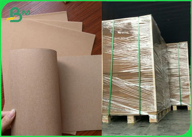 Biodegradable Takeaway Food Packaging Container Kraft Board 300gsm