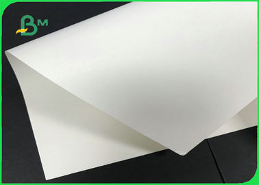 160gsm 190gsm 210gsm Single PE Laminated Paper Cup Base Paper For Cups