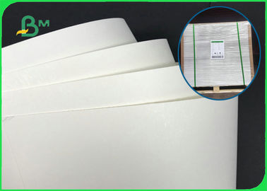 160gsm 190gsm 210gsm Single PE Laminated Paper Cup Base Paper For Cups