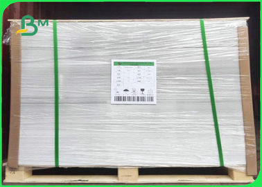 160gsm 190gsm 210gsm Single PE Laminated Paper Cup Base Paper For Cups