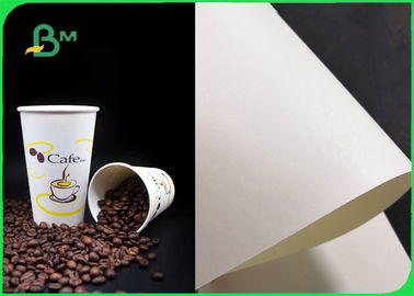 Heat Resistance 260gsm + 26g PLA Coated Paper For Beverage Cups Food Safety