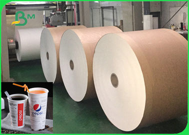 Heat Resistance 260gsm + 26g PLA Coated Paper For Beverage Cups Food Safety