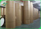 230gsm 260gsm PLA Coated Cardboard For Bowls 100% Biodegradable Food Safe