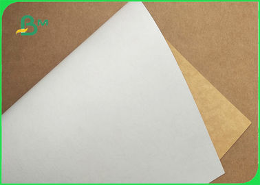 One Side Clay Coated Bleached White Top Kraft Back Liner Paper For Food Package