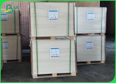 Fully Renewable PE Coating Cupstock Paper Coated Polyethylene 210g+10g