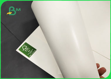 15 + 235 + 15g Waterproof PE Coated Paper In Jumbo Rolls 550mm / 600mm