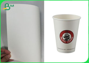 100% Virgin Cupstock Based Paper 170 - 210 GSM Food Grade