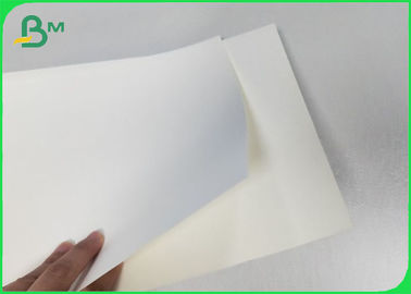 100% Virgin Cupstock Based Paper 170 - 210 GSM Food Grade