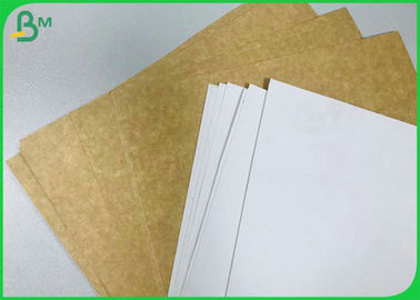 325 Gram Single White Coated Kraft Paper Board For Disposable Food Takeaway Box