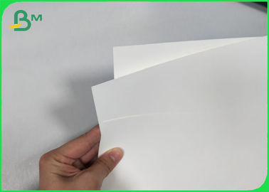 Non Permeate PE Coated Cupstock Based Paper 170gsm - 210gsm