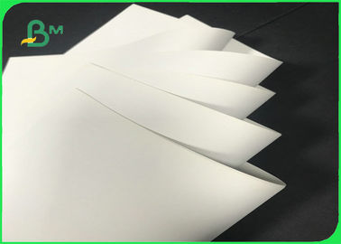 Eco - Friendly 330mm * 500m 120gsm 170gsm Stone Paper Roll For Printing