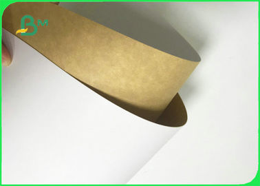 300GSM 325GSM Food Grade Clay Coated Kraft Back For Packing Fast Food