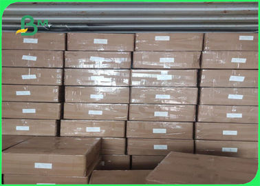 60gsm 120gsm Biodegradable Straw Paper Roll For Coffee Shop 14MM 15MM Slitted Size