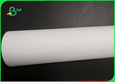 Smooth Surface Plotter Paper Roll For Fruit Packing 45gsm - 80gsm