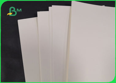 Biodegradable 190gsm 210gsm Cupstock Base Paper For Food Bowl 720MM 860MM