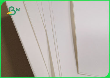 Biodegradable 190gsm 210gsm Cupstock Base Paper For Food Bowl 720MM 860MM