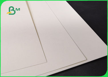 Biodegradable 190gsm 210gsm Cupstock Base Paper For Food Bowl 720MM 860MM